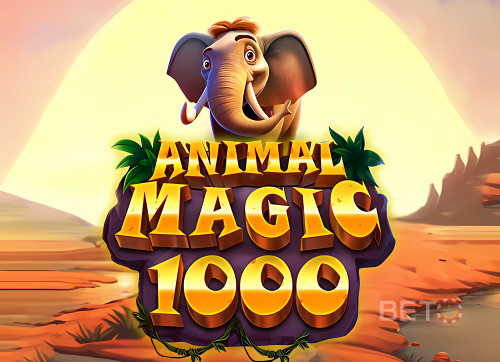 Animal Magic 1000