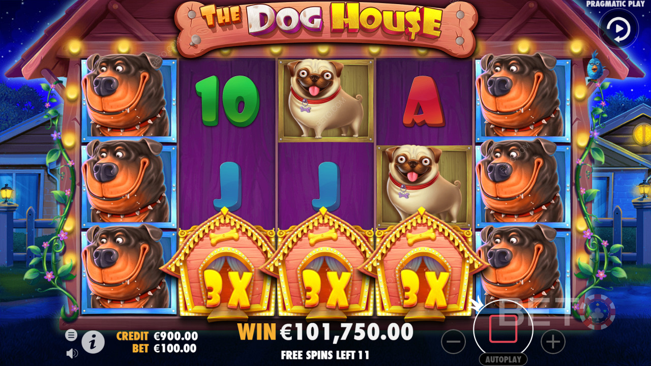 The Dog House - Un slot foarte prietenos și popular