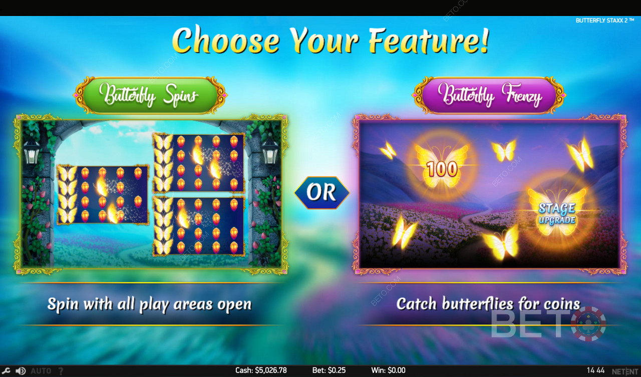 Alege între două jocuri cu funcții uimitoare - modul învârte sau prinde fluturi