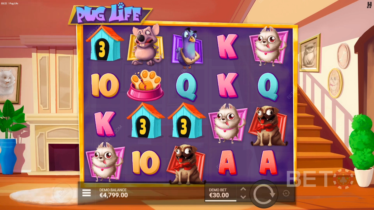 Pug Life Recenzie de la BETO Slots
