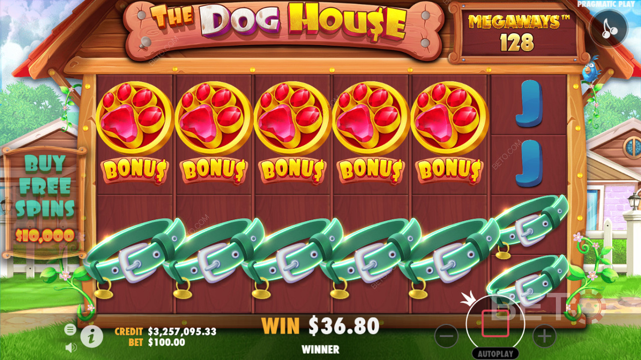 O interfață de joc detaliată a sloturilor The Dog House Megaways cazinouri