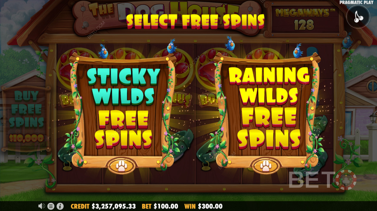 Sunt disponibile două moduri de Free Spins - o funcție Sticky Wilds Free Spins sau Raining Wilds Free Spins.
