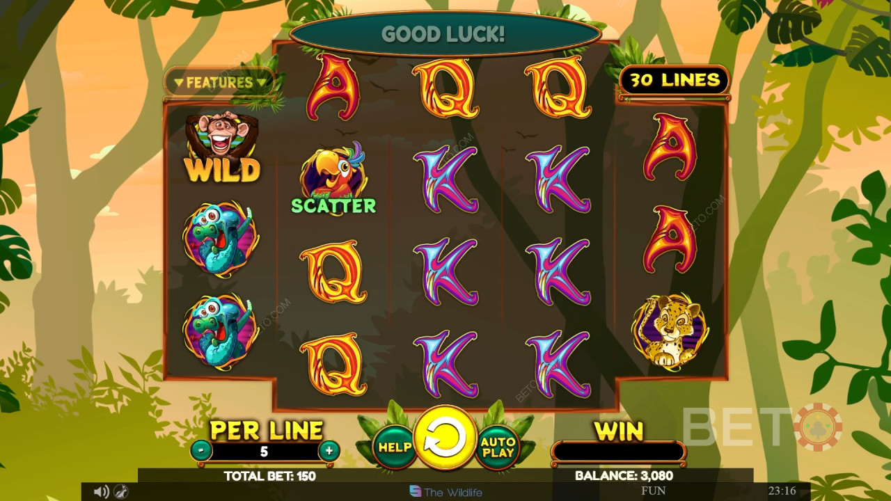 Wacky Monkey Recenzie de la BETO Slots