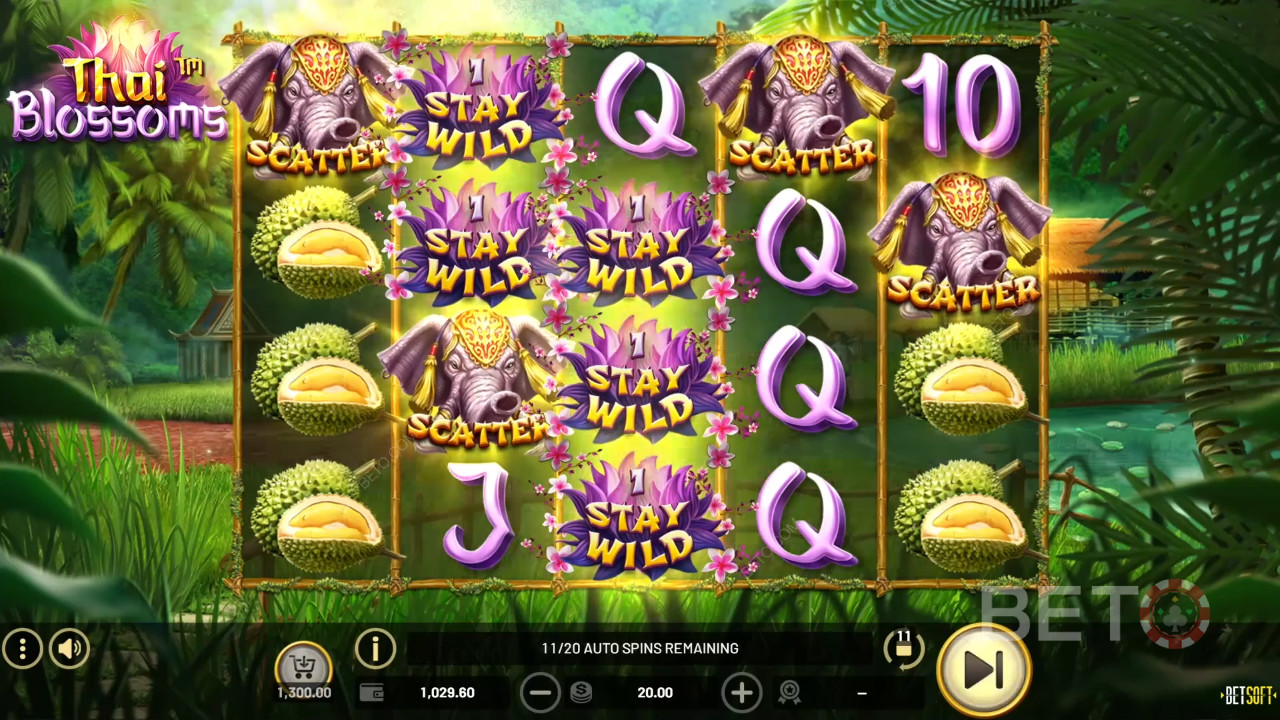 Thai Blossoms Recenzie de la BETO Slots