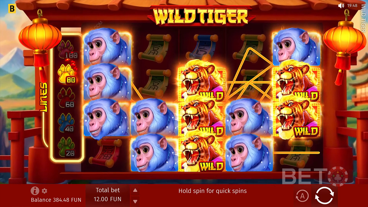 Wild Tiger Recenzie de la BETO Slots