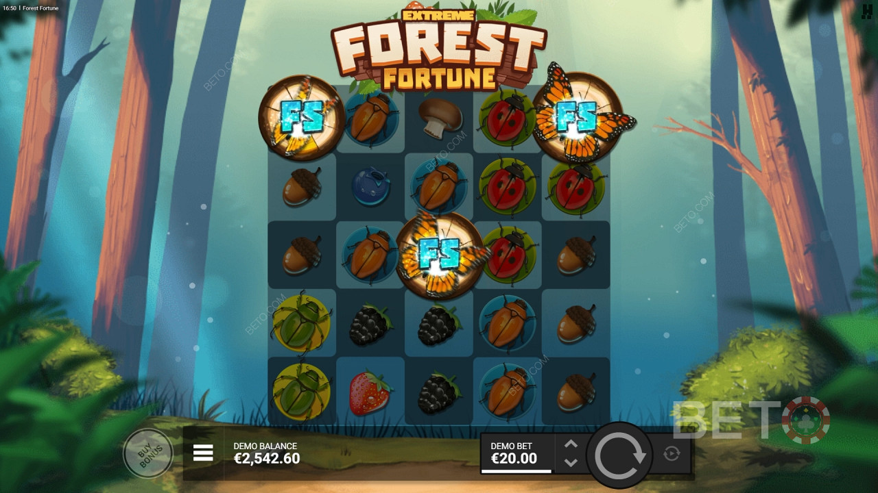 Forest Fortune Recenzie de BETO Slots
