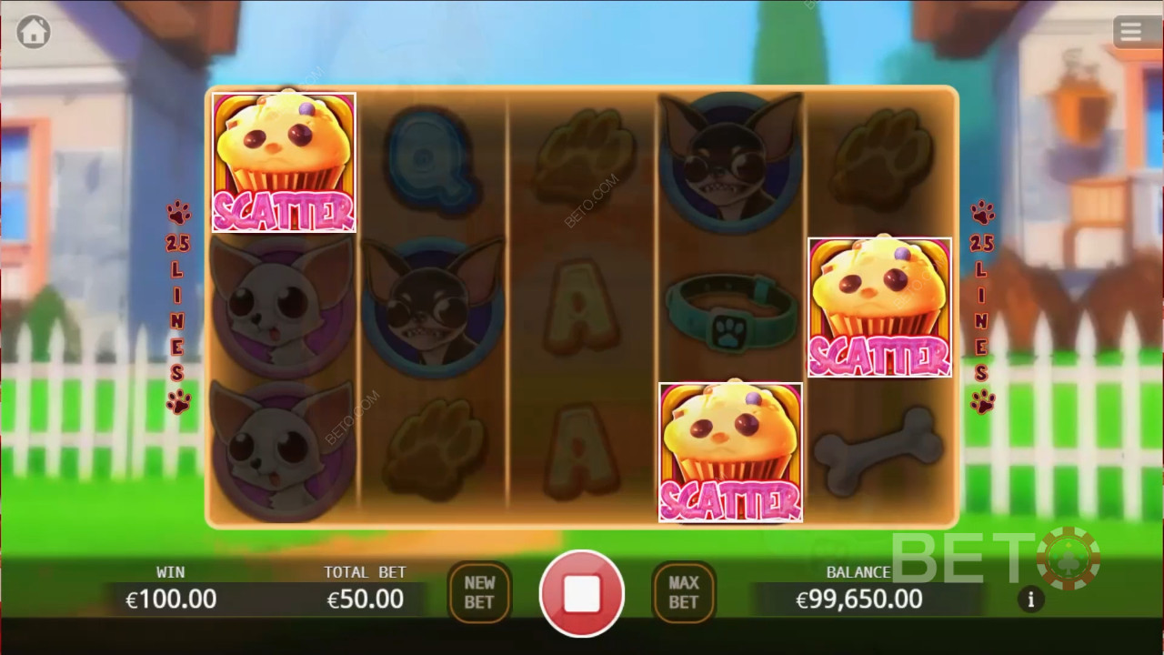 Chihuahua Party Joacă Gratuit