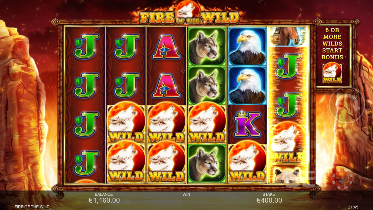 Fire of the Wild Recenzie de la BETO Slots