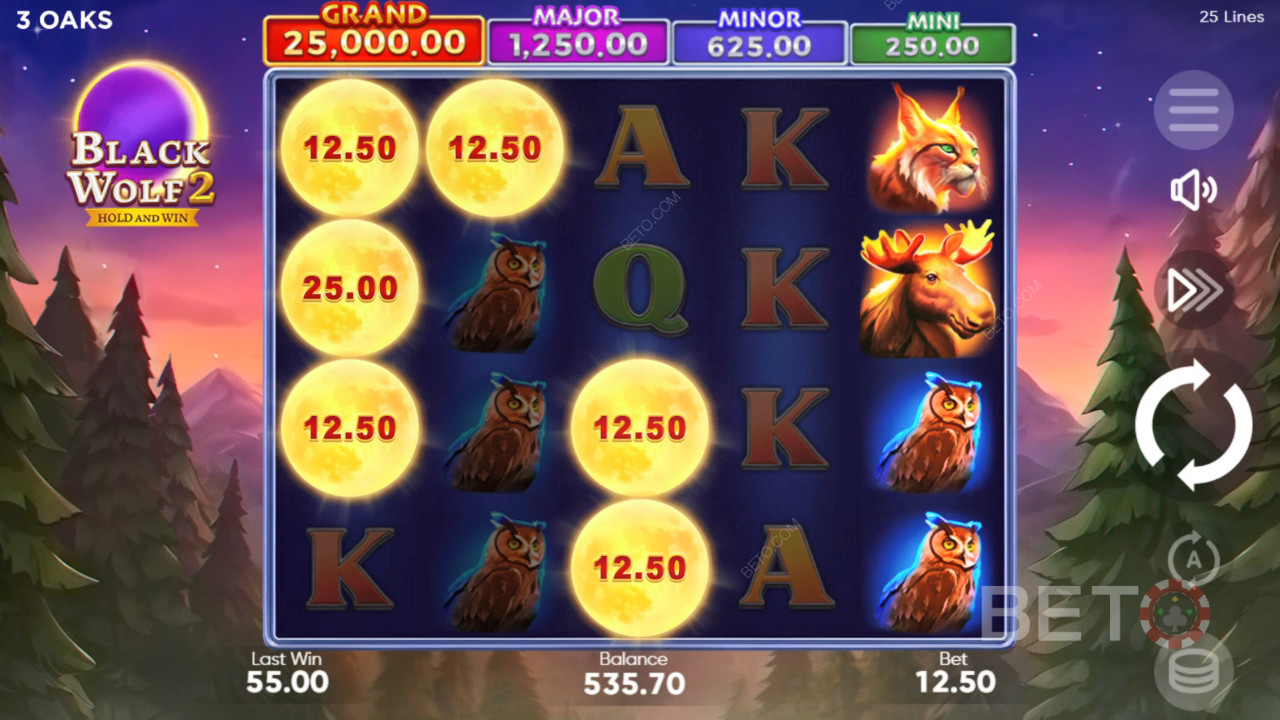 Black Wolf 2 Recenzie de la BETO Slots