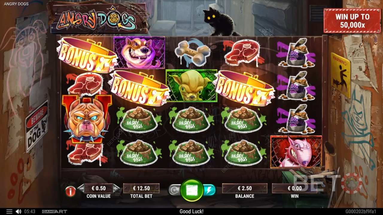 Angry Dogs Joacă Gratuit