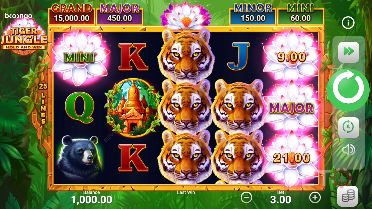 Câștigă jackpoturi la sloturi precum Tiger Jungle Hold and Win