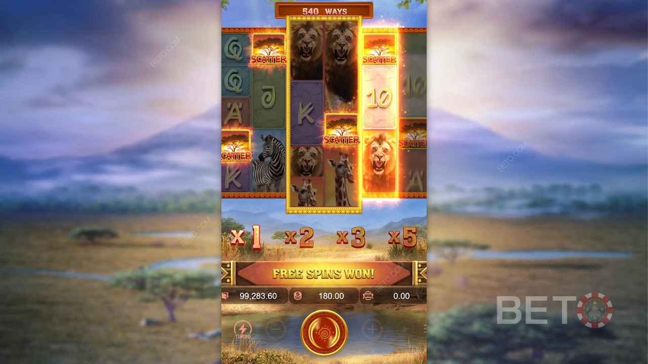 Safari Wilds Recenzie de la BETO Slots