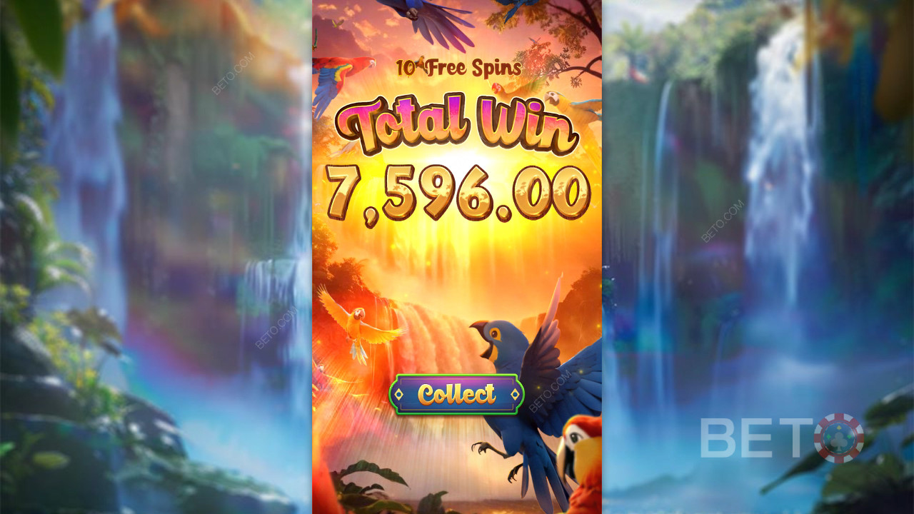 Wings of Iguazu - Da sau nu?