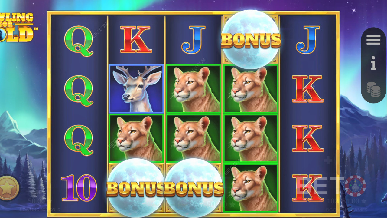 Howling for Gold Recenzie de la BETO Slots