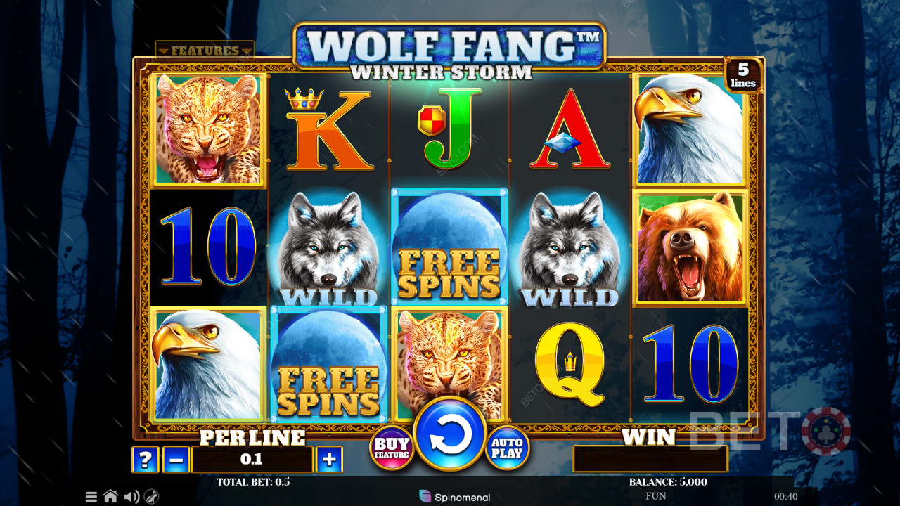 Wolf Fang Winter Storm Recenzie de la BETO Slots