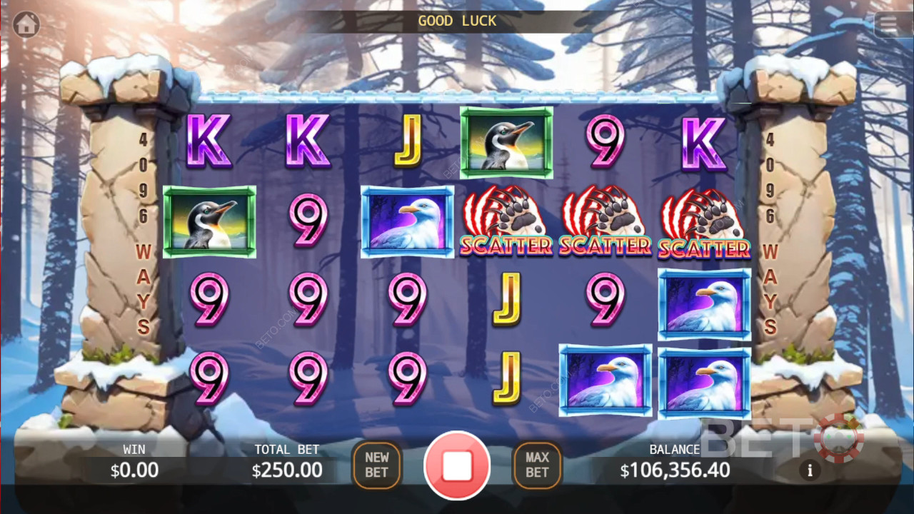 Bear Paw Legend Plus Recenzie de la BETO Slots
