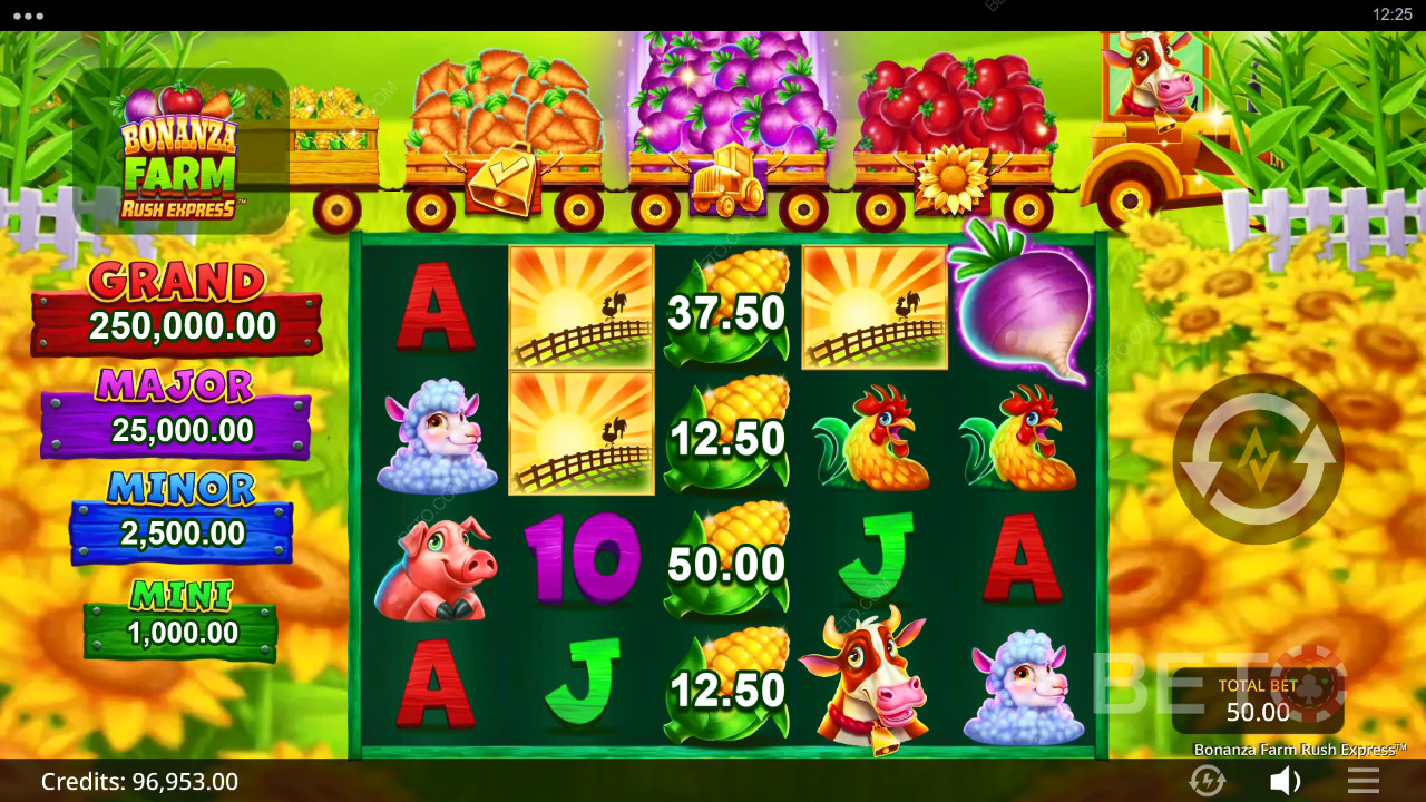 Bonanza Farm Rush Express Joacă Gratuit