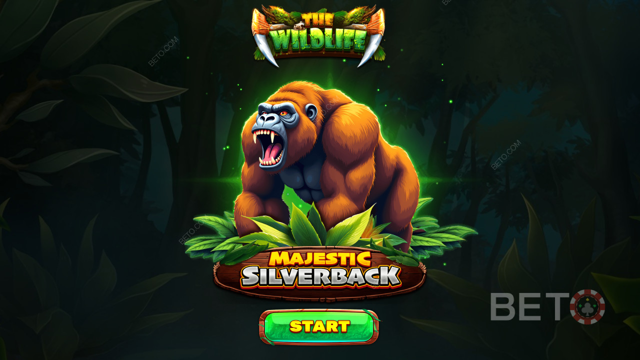 Funcțiile bonus explicate în Majestic Silverback de Spinomenal
