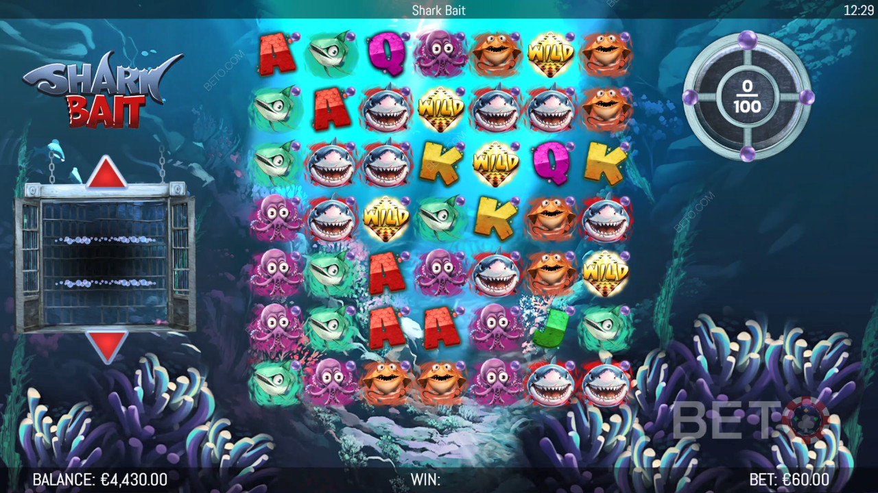 Funcțiile bonus explicate în Shark Bait de Hungry Bear