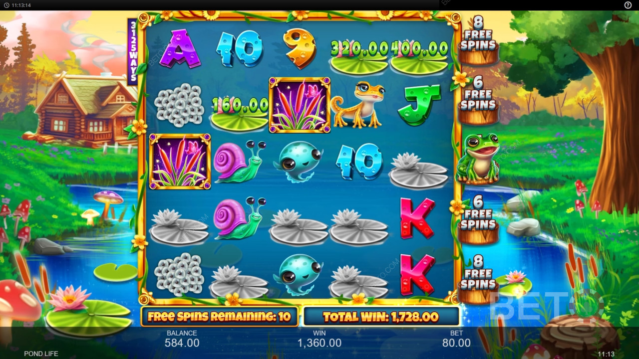 Caracteristicile bonus explicate în Pond Life de Inspired Gaming
