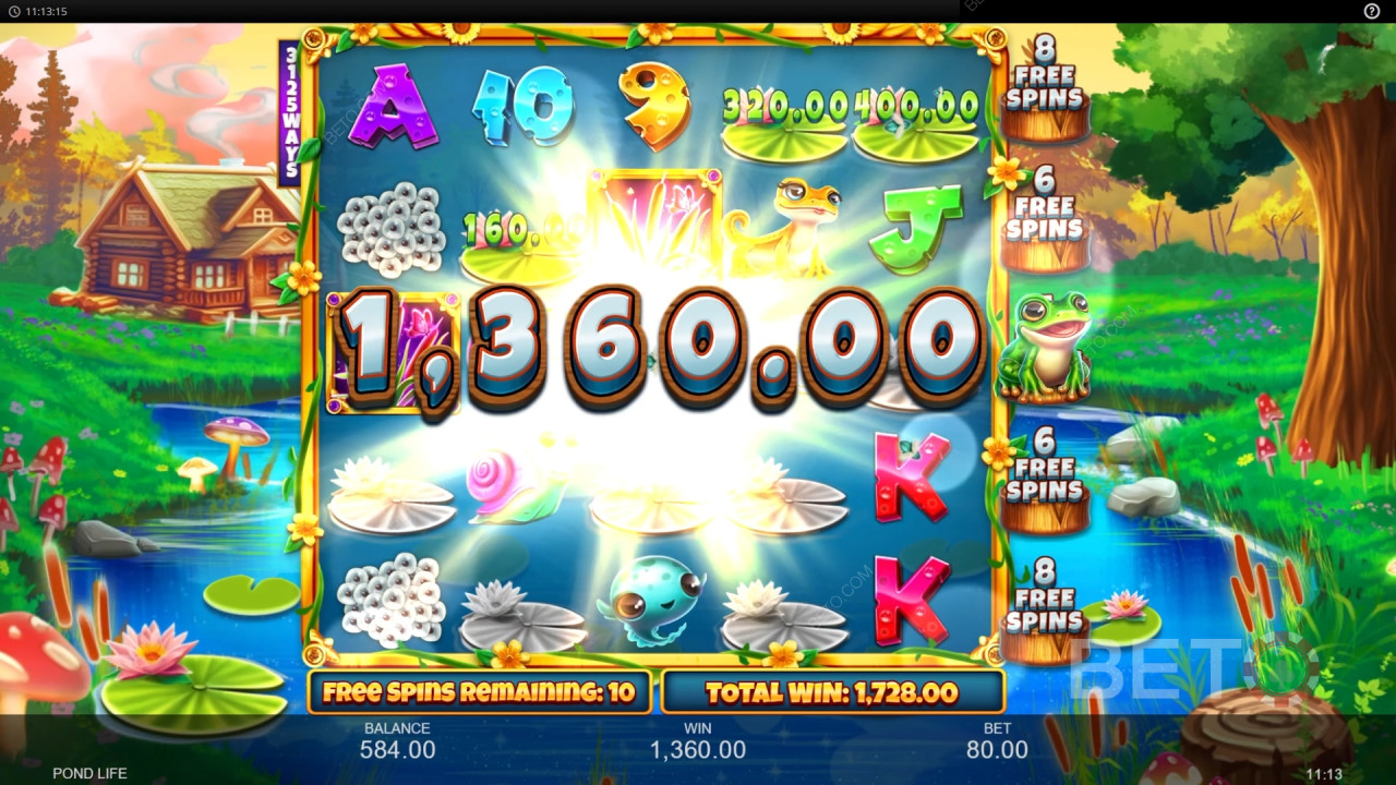 Pond Life Recenzie de la BETO Slots