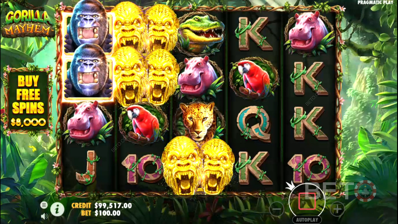 Simbolurile Golden Gorilla cu multiplicatori vor ajuta la crearea unor câștiguri mai mari.