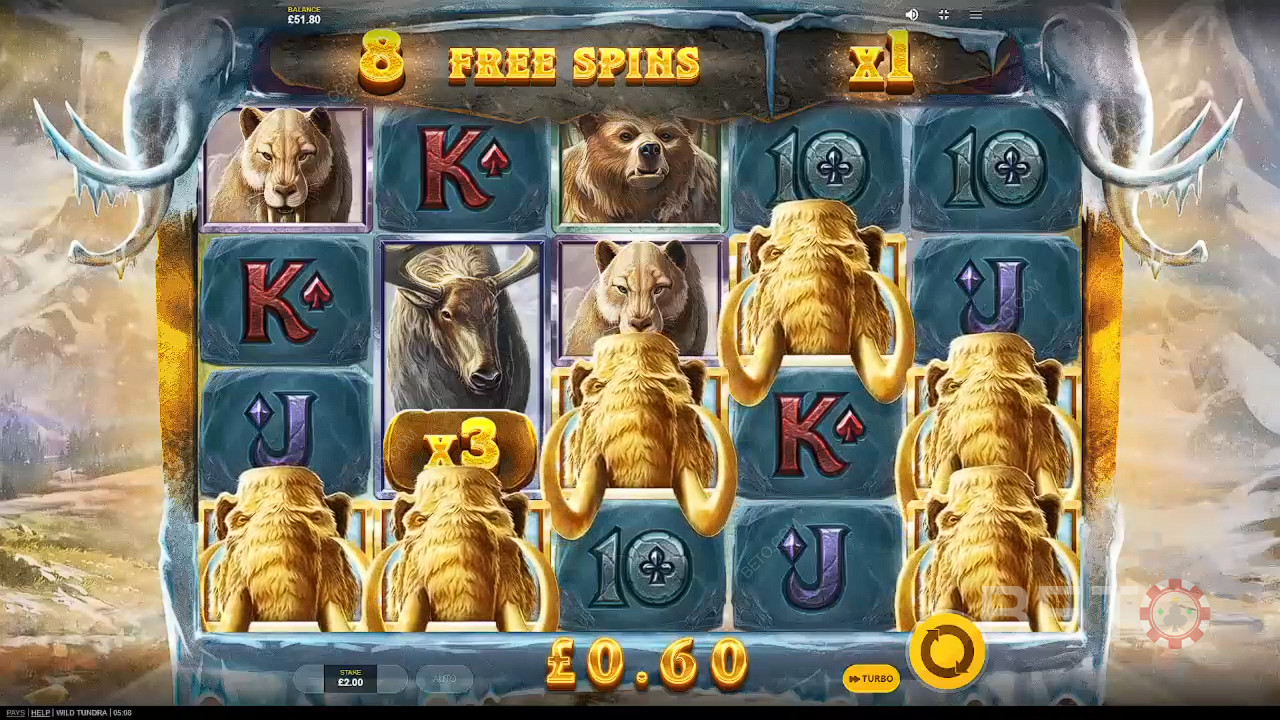 Wild Tundra Joacă Gratuit