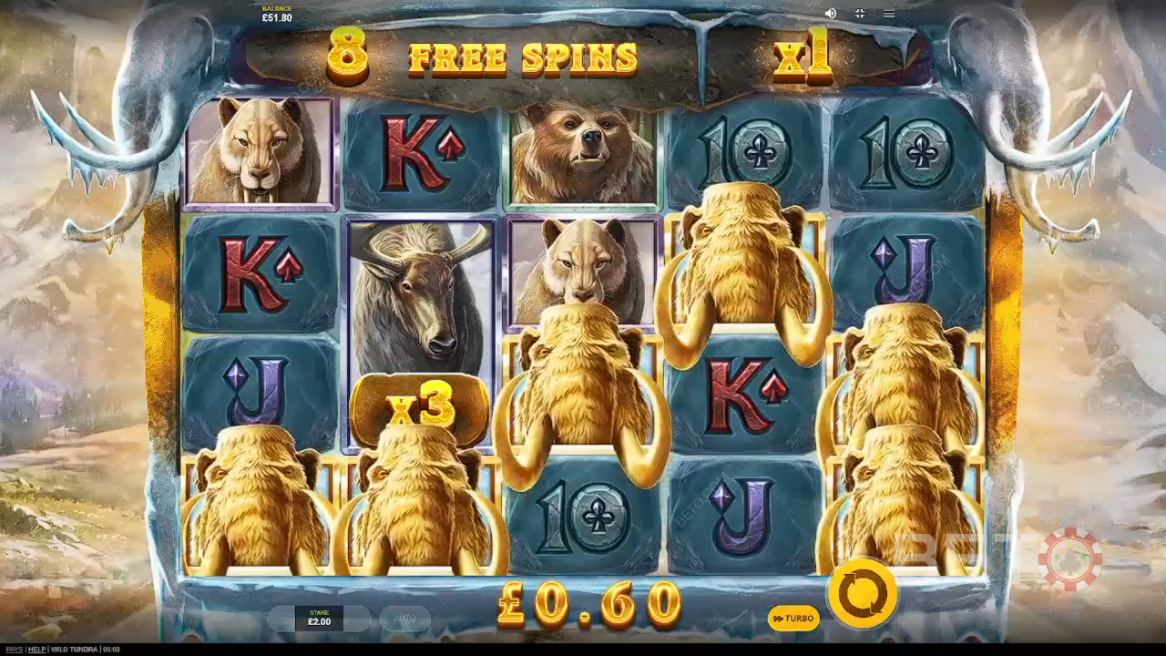 Wild Tundra Recenzie de la BETO Slots