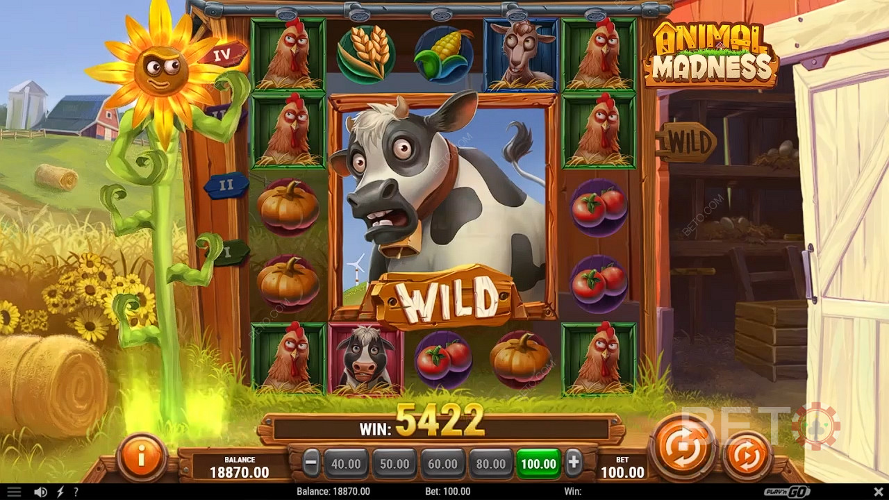 Animal Madness Joacă Gratuit