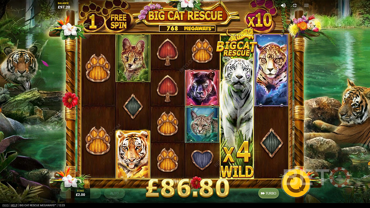 Big Cat Rescue Megaways Joacă Gratuit