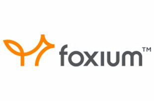 Foxium ᐈ Joacă sloturi gratuit ✚ Citește recenzia (2025)
