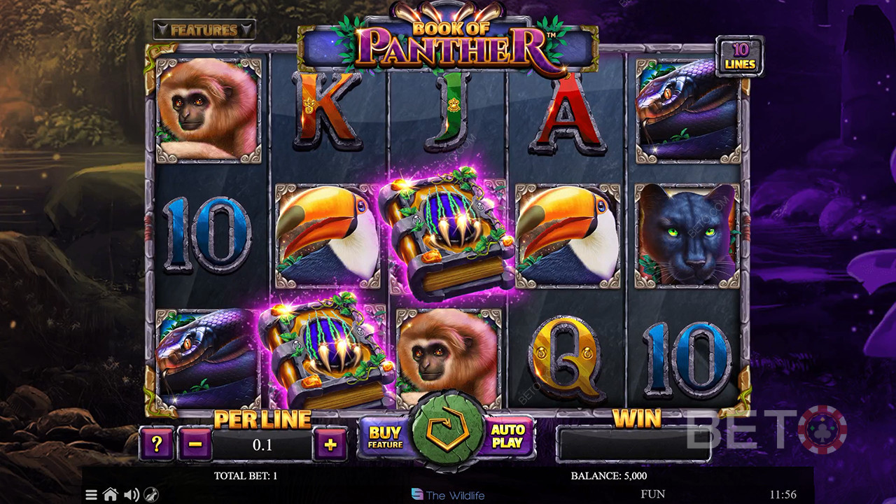 Book of Panther Recenzie de la BETO Slots