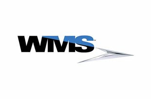 Joacă Gratuit Păcănele WMS Online și Jocuri de Cazino (2025)