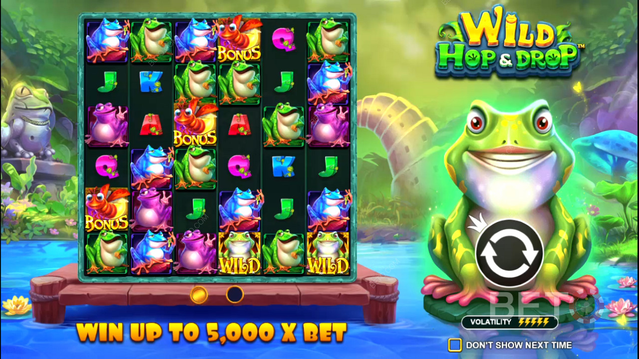 Slot online Wild Hop and Drop - Verdictul nostru