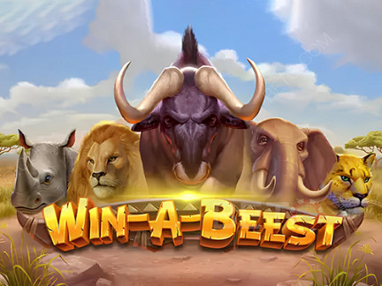 Czech: Win A Beest Demo