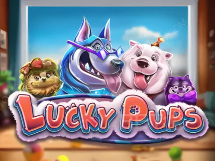Czech: Lucky Pups Demo