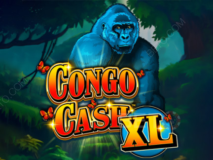 Czech: Congo Cash XL Demo
